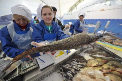 Рыбная ярмарка, которая открылась в рамках фестиваля `Рыбная неделя` на Пушкинской площади в Москве.