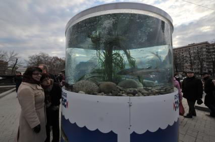 Прохожие рассматривают гигантский аквариум на Тверском бульваре, установленный в рамках фестиваля `Рыбная неделя` в Москве.