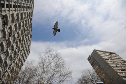 Москва. Экспериментальный 25-этажный панельный жилой дом на сваях  (Дом на курьих ножках), возведенный в 1968 году по адресу Проспект Мира 184.