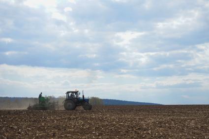 Трактор в поле, во время сева картофеля. Сельскохозяйственный производственный кооператив «Битимский». Свердловская область
