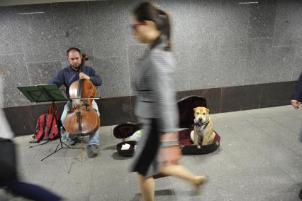 Мужчина играет на виолончели в подземном переходе в Москве.