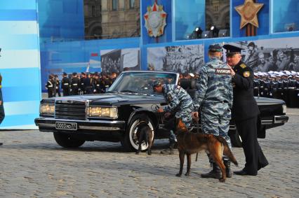 Москва. Полицейские с собакми осматривают автомобиль ЗИЛ перед началом Парада на Красной площади, в честь 70-летия Победы в Великой Отечественной войне.
