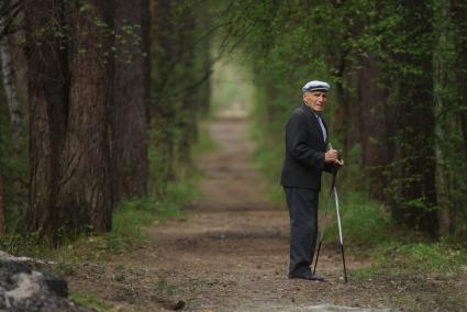 Дедушка с палками, гуляет в лесной аллее. Высадка деревьев в рамках акции \"Лес победы\" в парке Лесоводов России. Екатеринбург