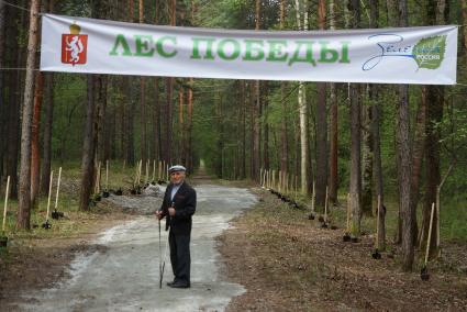 Дедушка с палками, гуляет в лесной аллее. Высадка деревьев в рамках акции \"Лес победы\" в парке Лесоводов России. Екатеринбург