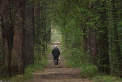 Дедушка с палками, гуляет в лесной аллее. Высадка деревьев в рамках акции \"Лес победы\" в парке Лесоводов России. Екатеринбург