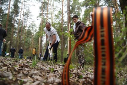 Председатель правительства Свердловской области Денис Паслер (в центре) во время высадки деревьев в рамках акции \"Лес победы\" в парке лесоводов  России. Екатеринбург