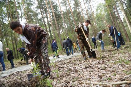 Высадка деревьев в рамках акции \"Лес победы\" в парке Лесоводов России. Екатеринбург