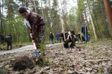 Высадка деревьев в рамках акции \"Лес победы\" в парке Лесоводов России. Екатеринбург