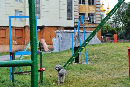 Украина. Донецк. Мужчина гуляет с собакой на детской площадке рядом с разрушенным зданием школы # 33.