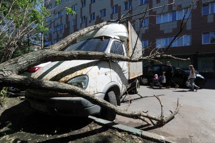 Москва, Старый Петровско-Разумовский проезд. Дерево упавшее на машину в результате штормового ветра.