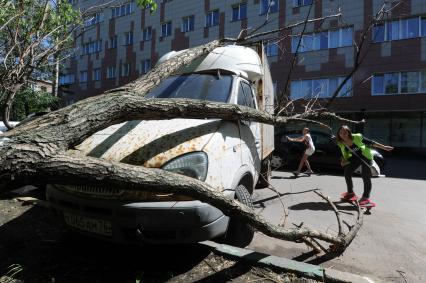 Москва, Старый Петровско-Разумовский проезд. Дерево упавшее на машину в результате штормового ветра.