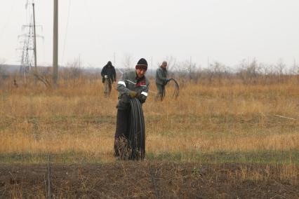 Украина. Луганская область. п.Новосветловка. Рабочие протягивают электрические кабели.