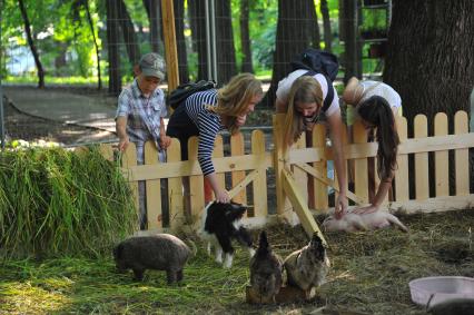 Москва. Московский международный фестиваль `Сады и люди` в парке `Сокольники`.