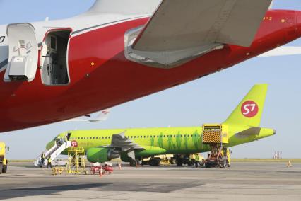 Барнаул. Самолет Airbus A320 российской авиакомпании S7 Airlines во время технического обслуживания на взлетно-посадочной полосе барнаульского аэропорта.