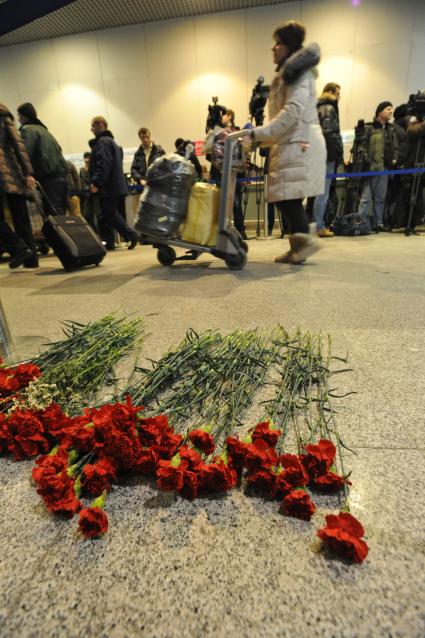 Московская область. Цветы у международного терминала в аэропорту Домодедово, где в результате теракта 24 января 2011  г. погибли люди.