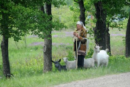 Украина. Луганская область. г.Краснодон. Пенсионерка посет коз.