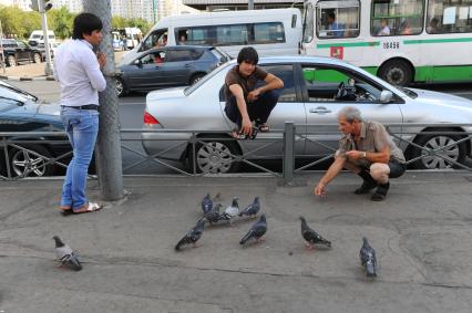 Москва. Мужчина кормит голубей.