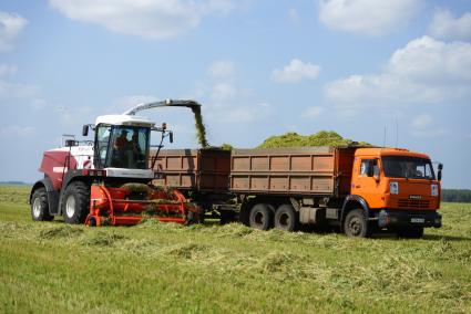 Сбор кормовых культур комбайном Ростсельмаш РСМ 1401, данным на тест-драйв аграриям Свердловской области.