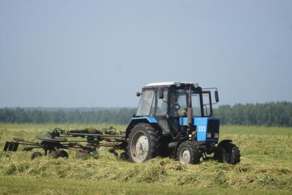 Сбор кормовых культур на поле в селе Клевакинское, Свердловской области.