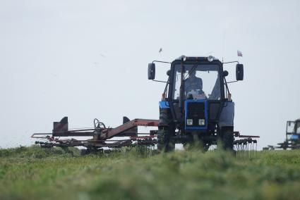 Сбор кормовых культур на поле в селе Клевакинское, Свердловской области.