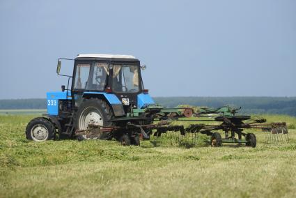 Сбор кормовых культур на поле в селе Клевакинское, Свердловской области.