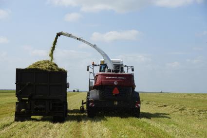 Сбор кормовых культур комбайном Ростсельмаш РСМ 1401, данным на тест-драйв аграриям Свердловской области.