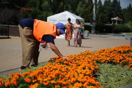 Украина, Донецк. Женщина ухаживает за клумбой с цветами.