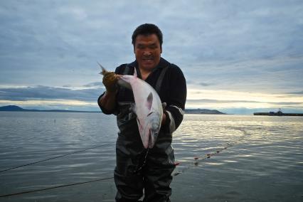 Чукотская АО. Мужчина держит в руках рыбу кету, пойманную в Анадырском лимане.