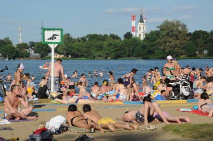 Москва.  Горожане загорают у озера Белое в районе  Косино-Ухтомское.