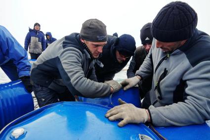 Полярники с сезонной дрейфующей станции \"Северный полюс 2015\" из Арктики, собирают в сеть виние бочки с топливом, для подъема на ледокол \"Капитан Драницын\" перед эвакуацией на большую землю. Северный полюс. Северный ледовитый океан