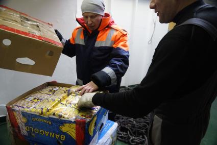 Экипаж ледокола \"Капитан Драницын\" в трюме осматривают коробки с продуками с сезонной дрейфующей станции \"Северный полюс 2015\" перед эвакуацией на большую землю. Северный полюс. Северный ледовитый океан