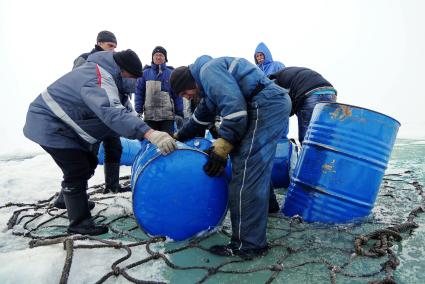 Полярники с сезонной дрейфующей станции \"Северный полюс 2015\" из Арктики, собирают в сеть виние бочки с топливом, для подъема на ледокол \"Капитан Драницын\" перед эвакуацией на большую землю. Северный полюс. Северный ледовитый океан