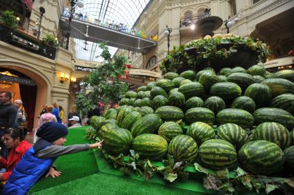 Москва. Фруктовая инсталляция из арбузов и дынь в ГУМе, сооруженная в рамках фестиваля `Московское лето. Фестиваль варенья`.