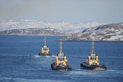 Североморск. Военно-морская база Северного флота России. Рейдовые буксиры в порту.