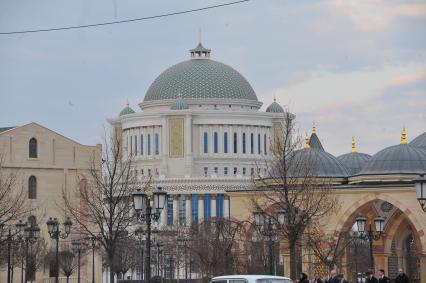 Чечня. Грозный. Культурный центр `Дом приемов`