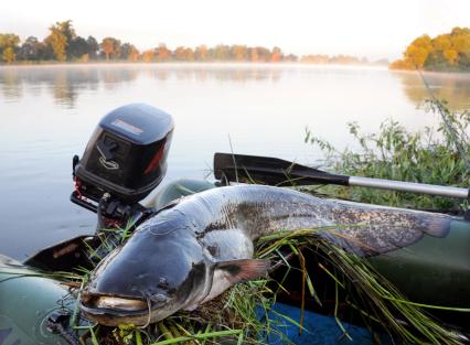 Белоруссия, Гомельская область. Национальный парк `Припятский`. Рыбная ловля в реке Припять.