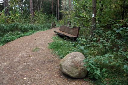 Белоруссия, Гродненская область. Лес в районе Августовского канала.