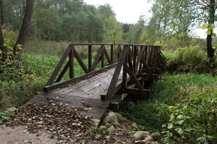 Белоруссия, Гродненская область. Лес в районе Августовского канала.