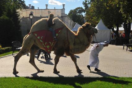 Москва. Катание на верблюде на фестивале арабской культуры `Абу Даби Фест` в саду `Эрмитаж`.