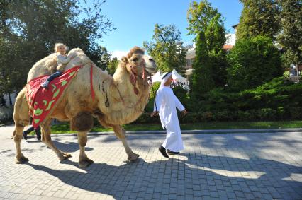 Москва. Катание на верблюде на фестивале арабской культуры `Абу Даби Фест` в саду `Эрмитаж`.