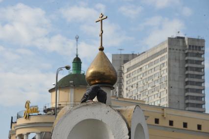 Москва. Голуби на фоне куполов.