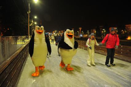 Москва. На ВДНХ открылся самый большой каток в городе.