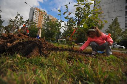 Москва. Акция `Сделаем Москву парком!` на Никулинском бульваре.