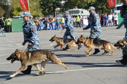 Москва. Полицейские-кинологи со служебными собаками на спортивном параде московской полиции, посвященном Дню сотрудника органов внутренних дел.