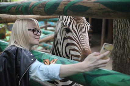 Ставрополь. Девушка фотографируется с зеброй в контактном зоопарке `Берендеево`.