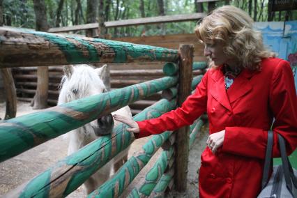 Ставрополь. Женщина гладит пони в контактном зоопарке `Берендеево`.