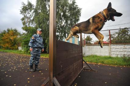 МО, г.Балашиха. Зональный центр кинологической службы ГУ МВД России по Москве.