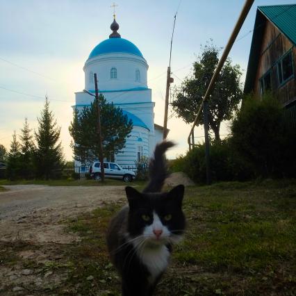 Тульская область. г.Чекалин. Свято-Введенский храм.