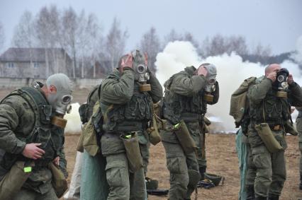 Московская область. Военнослужащие ВДВ одевают противогазы во время занятий по химподготовке.