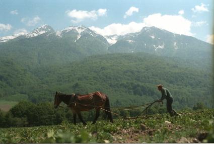 Сочи. Красная поляна. 90-ые. Мужчина работает с плугом.